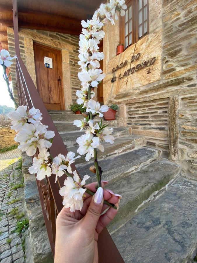 Гостевой дом Casa Do Ti Latoeiro Торри-ди-Монкорву Экстерьер фото